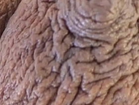Brown complexion skin girl with pretty large dark nipples and huge areolas boobies squeezed rough in slow motion while laying on her side big breasts sagging point of view msnovember